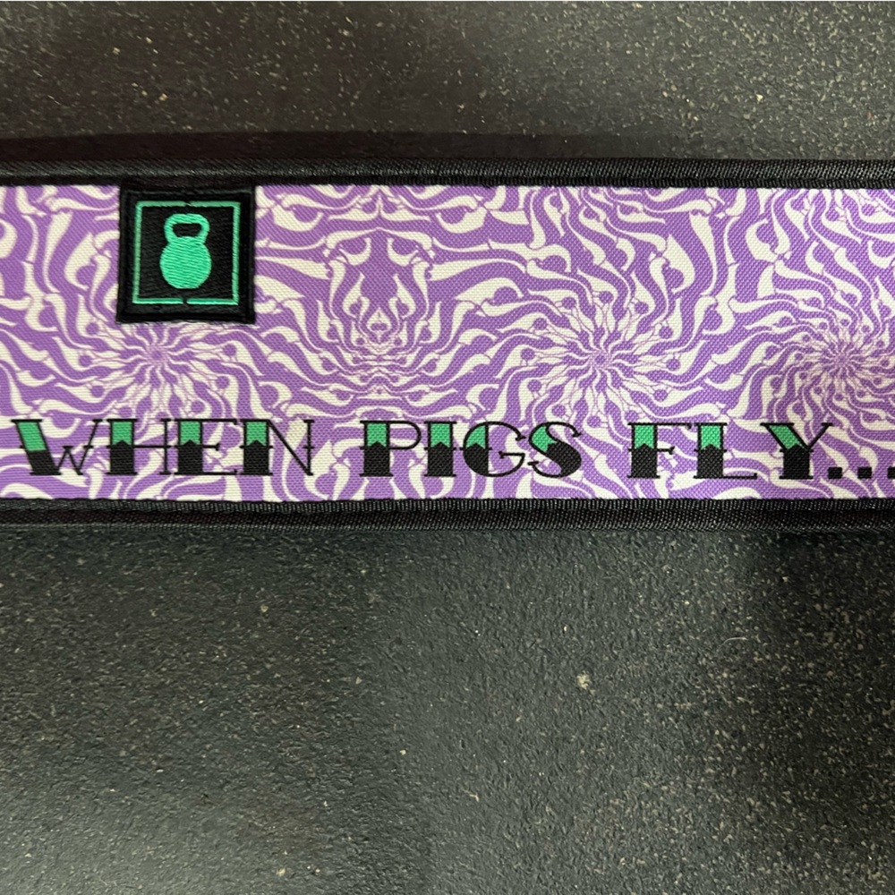 Danielle Brandon 2POOD belt size large.